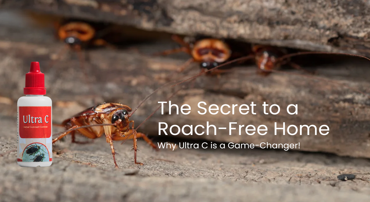 The secret to a roach-free home